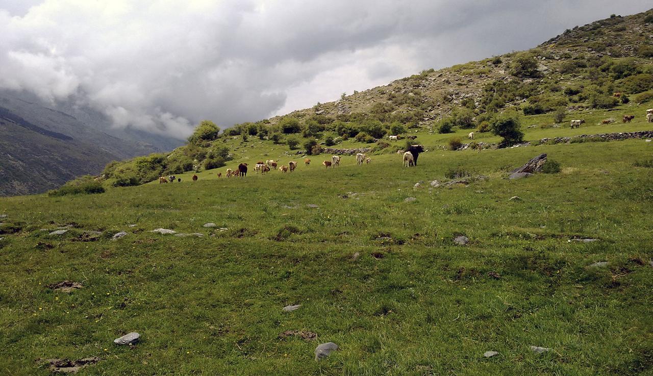 Refugio Alpujarra Alta Trevélez Exterior foto