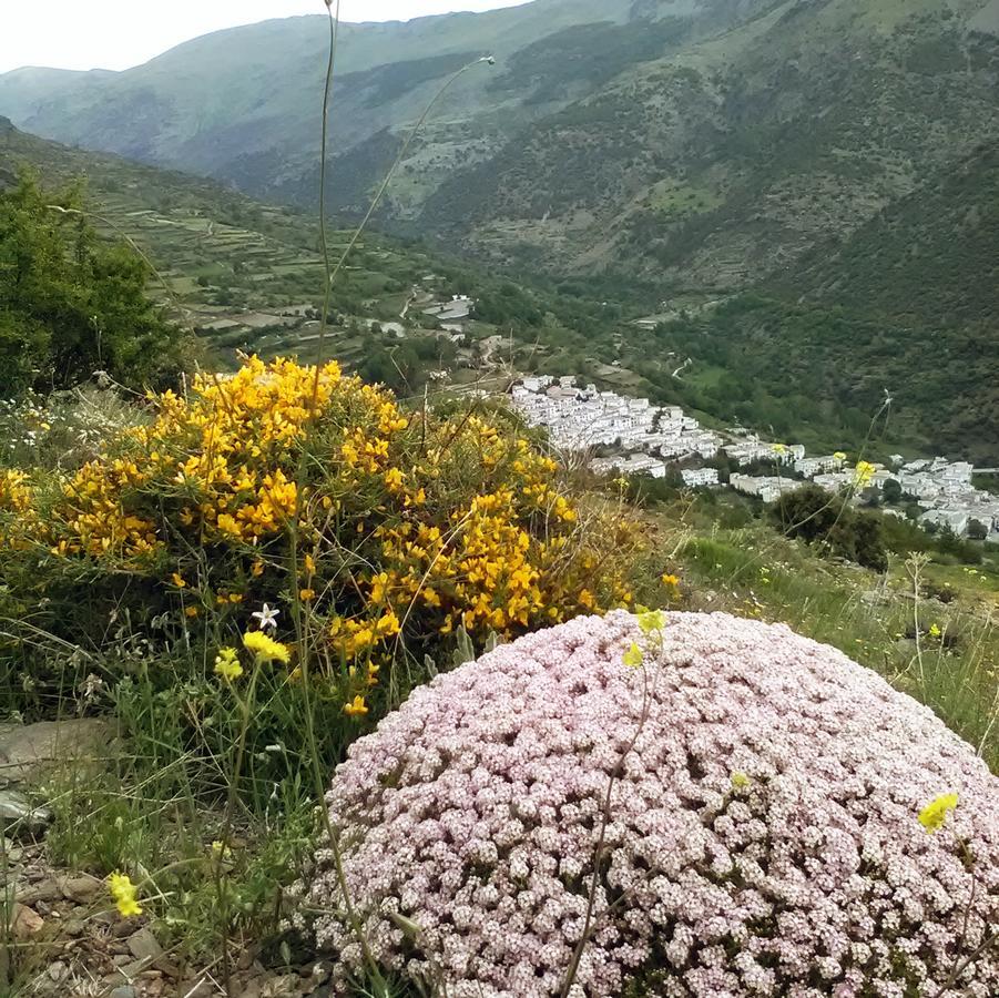 Refugio Alpujarra Alta Trevélez Exterior foto
